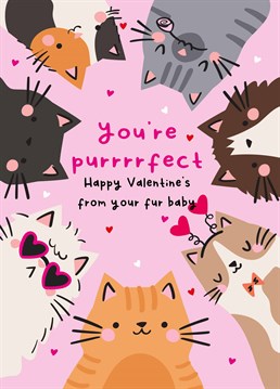 Which one looks like your fur baby? Make sure your loved one gets a cute Valentine's card from their favourite kitty! Designed by Scribbler.