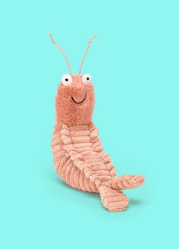 <ul><li>Shrimp-ly the best! </li><li>Don&rsquo;t be shell-fish, send the adorable Sheldon Shrimp by Jellycat to a loved one and put a big &lsquo;ol smile on their face with this sea-dwelling fellow! </li><li>With a soft, peachy head, corded body, big bobbly eyes and signature antenna (of course) this quirky shrimp will soon become your best buddy. </li><li>Dimensions: 22cm high, 7cm wide </li></ul>