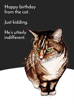We can't lie, he's not asked after you once. A cat-lover will appreciate this amusing birthday card by Some Ink Nice.