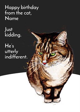 We can't lie, he's not asked after you once. A cat lover will appreciate this amusing, personalised birthday card by Some Ink Nice.
