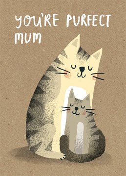 If you think your mum is the absolute cat's pyjamas, then let her know with this purrfect Mother's Day card by Stormy Knight!