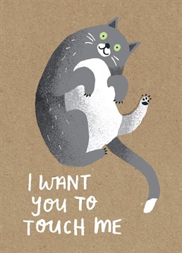 Pet me, stroke me, ruffle me! Another adorable and funny card from our friends at Stormy Knight!