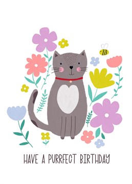 Send a cat loving receiver this adorable and pretty cat themed Birthday card