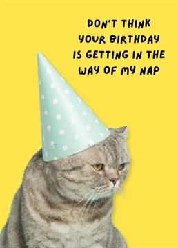 This funny birthday card from the cat will give your friend or loved one a proper chuckle on their special day!