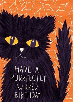 A Funny Pun Birthday card perfect for any cat lover. Cute black kitten with big eyes. Design by Sarah Price.