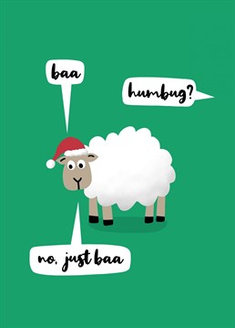 Send this silly Christmas card featuring a cute sheep wearing a Santa hat. Funny card designed by Sassy Sarah.