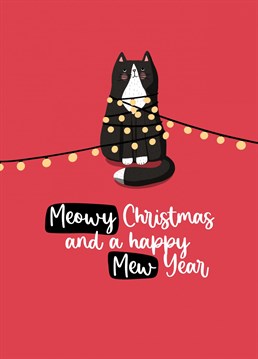 Send Christmas wishes with this cute cat tangled up in the Christmas lights. Designed by Sassy Sarah.