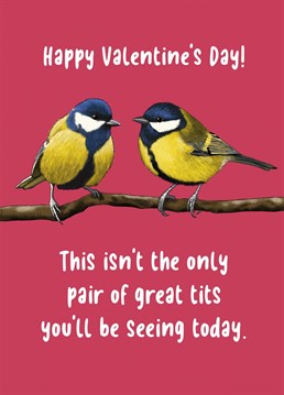 Who doesn't love a pair of great tits? Make your Valentine's day extra special with this cheeky card designed by Sassy Sarah.