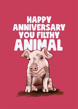 Happy anniversary you filthy animal! Wish your partner a happy anniversary with this dirty piggy card designed by Sassy Sarah.