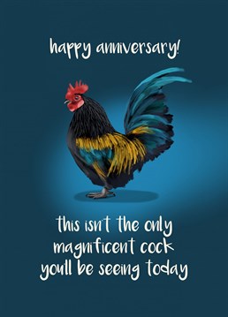 Who doesn't love a magnificent cock? Make your celebration extra special with this naughty anniversary card designed by Sassy Sarah.