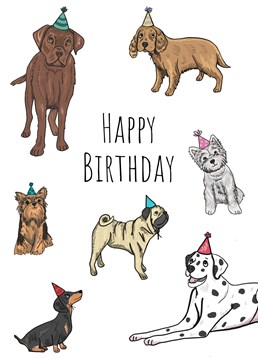 Send birthday wishes to the dog lover in your life with this 'Birthday Dogs With Party Hats' birthday card. Designed by Send Salutations.