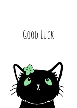 Send good luck wishes to the cat lover in your life with this 'Lucky Black Cat' good luck card. Designed by Send Salutations.