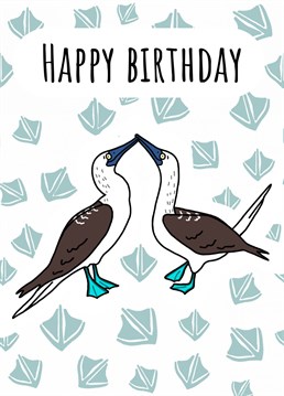 Send birthday wishes with this 'Blue Footed Booby Birthday Card'. Designed by Send Salutations