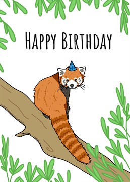 Send birthday wishes with this 'Red Panda Birthday Card'. Designed by Send Salutations.