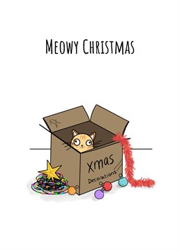 Send Christmas wishes with this 'Meowy Christmas Card'. Designed by Send Salutations