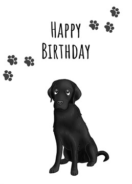 Send birthday wishes with this 'Black Labrador Birthday Card'.
