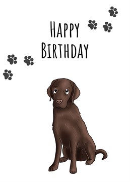 Send birthday wishes with this 'Chocolate Labrador Birthday Card'.