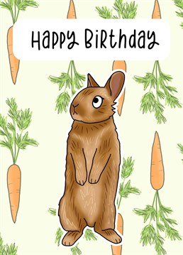 Send birthday wishes with this 'Rabbit Birthday Card'.