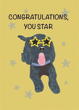 Say congratulations to the star in your life with this cute, cockapoo card. Say congratulations on passing a driving test, passing an exam or a new job with this fun dog card, designed by Schnauzer Scribbles.