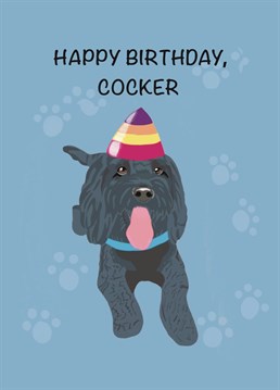 Say 'happy birthday, Cocker' with this cute cockapoo card. Send birthday wishes to friends and loved one with this cute dog design by Schnauzer Scribbles.