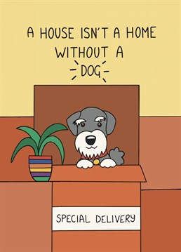 A house isn't a home without a four legged friend to great you! Say congratulations on your new home with this cute card designed by Schnauzer Scribbles.