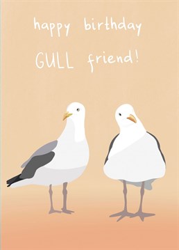 Send your loved one or best friend birthday wishes with this illustrated cute seagull card. Perfect for a bird or animal lover!
