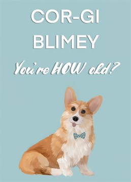 Send your loved one birthday wishes with this funny corgi birthday card. Perfect for a dog lover or a royal family fan!