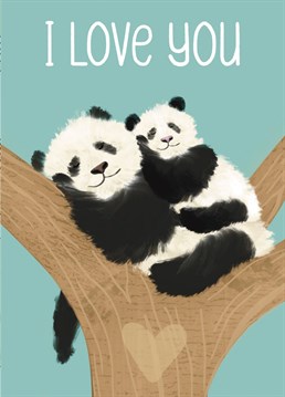 The perfect anniversary card to send to your partner who loves cute animals.    Two pandas sitting in a tree.