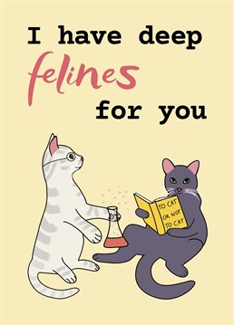 Put a smile on a face with this funny cat pun love Anniversary card! I have deep felines for you!
