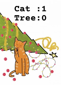 Have you ever wondered why that cat challenged the Christmas tree every year? Its a game to them! They have to destroy it.