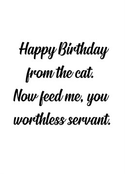 We are all here to serve cats and that is something we will never get away from. Imagine if they had thumbs.... A Birthday card designed by Sweary Birthday card company.