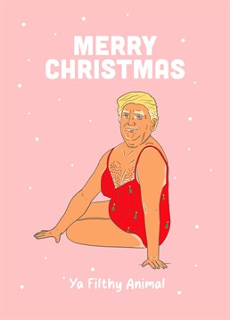 Mr Trump in a christmas bikini, what more could you want out of a christmas card