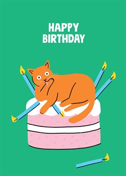 Funny cat card by Stoats & Weasels. Who doesn't like a funny cat card? Isn't it funny how cats sit on anything and everything that you don't want them to? Wouldn't it be hilarious if your cat sat on your birthday cake then lay there nonchalantly licking the cream off its paws? No it wouldn't. But on a card? Ha hahaha hahahahaha!