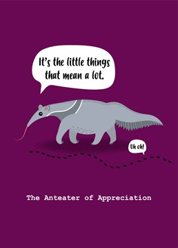 An ant eater driven thank you card that keeps the little things in mind'and mouth. Designed by Charli Tait.