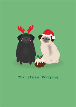 Who ate all the pudding? Wish your loved ones a Merry Christmas with the help of these mischievous pugs. Designed by Charli Tait.