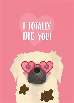 Dougal the dog wants to wish you a pawsitively lovely Valentine's Day! Design by Charli Tait Creative, inspired by her rescue doggo Dougal.