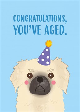 Dougal the dog wants to wish you an okay birthday. Design by Charli Tait Creative, inspired by her rescue doggo Dougal.