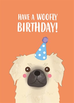 Dougal the dog wants to wish you a pawsitively lovely birthday! Design by Charli Tait Creative, inspired by her rescue doggo Dougal.