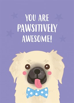 Dougal the dog wants you to know how totally pawesome you are! Send this card to say congratulations, thank you, Happy Birthday, or just because. Designed by Charli Tait Creative, inspired by her rescue doggo Dougal.