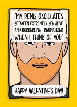 This funny Prince Harry card features an illustration of his book cover and the phrase "My penis oscillates between extremely sensitive and borderline traumatized when I think of you Happy Valentine's Day!"
