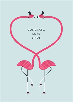 An 'oh so stylish' gay wedding card featuring illustrated flamingo love birds