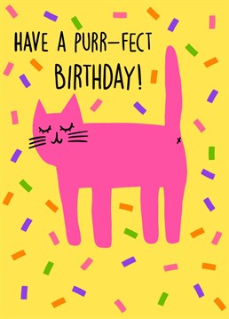Wish your favourite Cat Lover, a Purr-fect Birthday, with this fun card!