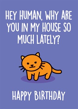 Cats aren't cool with you working from home either! A funny Lockdown-inspired birthday card, great for a son, daughter, friend, husband, cousin, niece, sister, brother, aunty, uncle, mum or dad. All the way from Thirty Mussels, purveyors of preposterous cards for all occasions and senses of humour. Don't be shellfish, send a card!