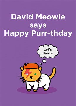 It's your birthday - Let's Dance! The purr-fect card for Bowie fans, music lovers and anyone who likes cats. Whether son, daughter, friend, husband, cousin, niece, sister, brother, aunty, uncle, mum or dad. All the way from Thirty Mussels, purveyors of preposterous cards for all occasions and senses of humour. Don't be shellfish, send a card!
