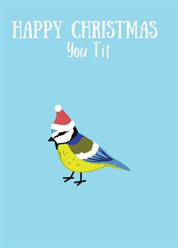 We all know someone who is a bit of a tit, if you don't, it's probably you. Happy Christmas!