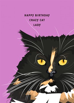 A Birthday card for your favourite cat crazy friend.