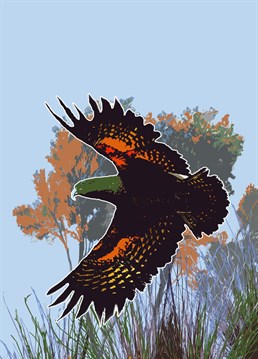 This card depicts a beautiful Kea in flight against a backdrop of trees and grasses.