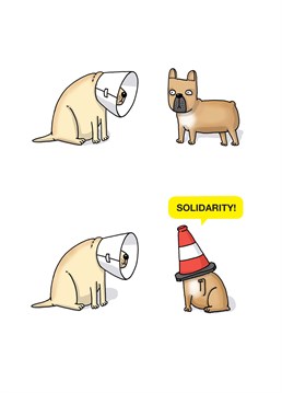 That's a different kind of cone of shame! Say Get Well with this Tillovision card and show your solidarity in their time of need.