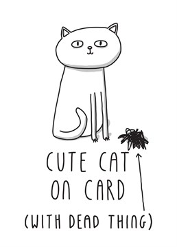 This Birthday card is perfect for a cat lover.