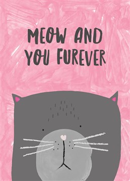 Furry nice card from Scribbler for the cat-lover in your life.